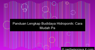 ilustrasi budidaya hidroponik