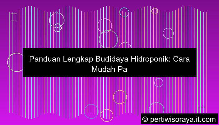 ilustrasi budidaya hidroponik