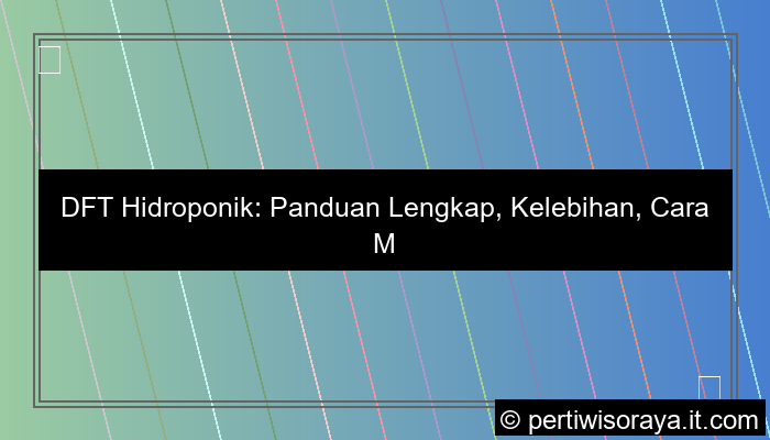 DFT hidroponik