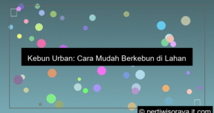 kebun urban