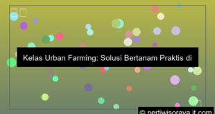 desain kelas urban farming