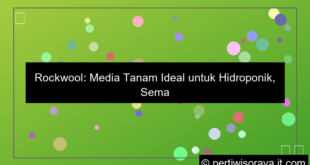 media tanam rockwool