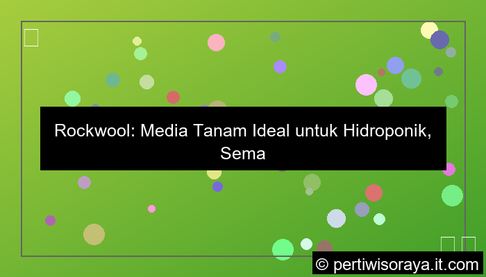 media tanam rockwool