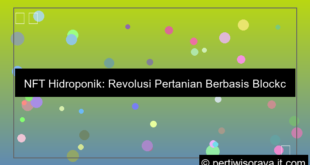 NFT hidroponik