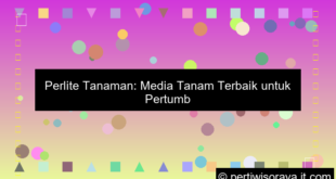 perlite tanaman