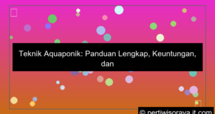 teknik aquaponik